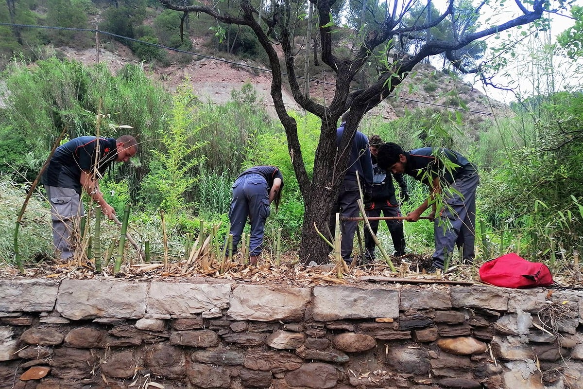 L'hort és de totes