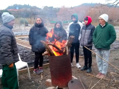 projecte l'hort és de totes