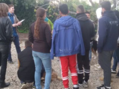 Teràpia assistida amb gossos a les llars de Sant Fost