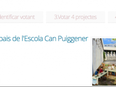 Aula al pati a Can Puiggener