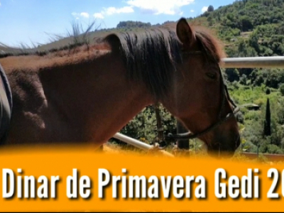 VIDEO | Gedi celebra el seu segon dinar de primavera a Can Colomer