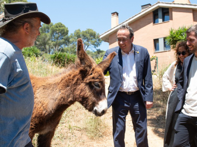Josep Rull, visita el projecte ramader i de preservació del ruc català que GEDI desenvolupa a Can Colomer