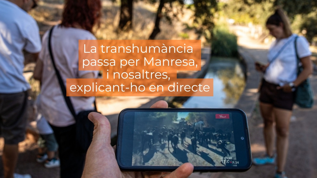 El Ganxo, en directe per la transhumància