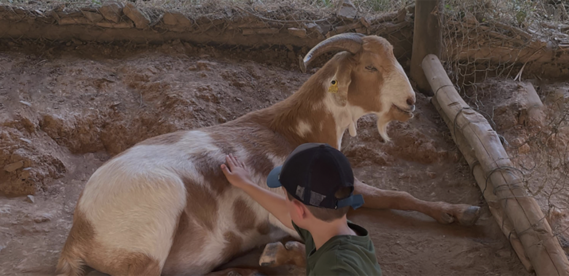 Sis setmanes d’activitat per a infants a Can Colomer, un espai de descoberta, convivència i contacte amb la natura.