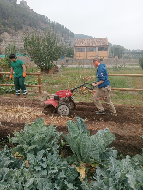 formacio hort es de totes