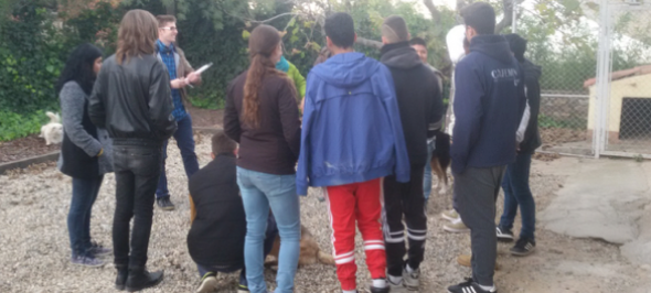 Teràpia assistida amb gossos a les llars de Sant Fost