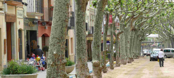 GEDI gestiona el Servei d'Assessorament i Informació en matèria de Pobresa Energètica d'Arenys de Munt GEDI gestiona el Servei d'Assessorament i Informació en matèria de Pobresa Energètica d'Arenys de Munt