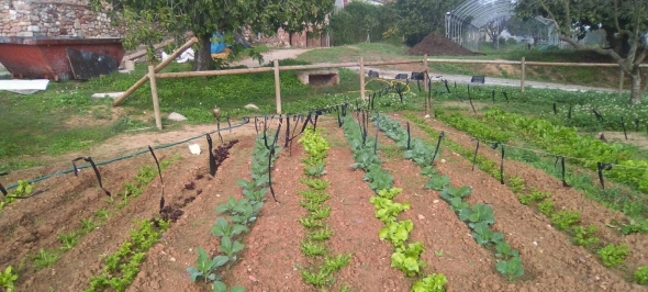 Hort al CREI Castanyers Hort al CREI Castanyers