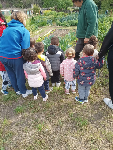hort es de totes hort es de totes