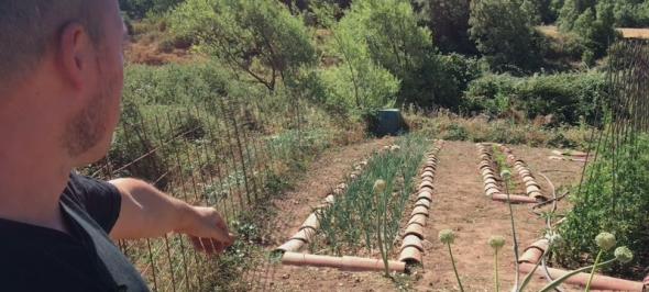 horts de Terra de Profit a Prades de la Molsosa