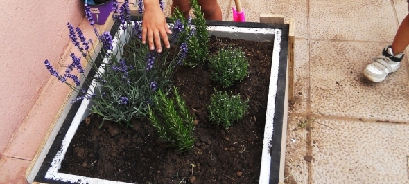 Els nens i les nenes de Naranjos creen un Hort Urbà! Els nens i les nenes de Naranjos creen un Hort Urbà!