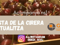 Divendres 26 de juny: La Festa de la Cirera a l'Instagram de Gedi!