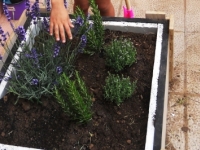 Els nens i les nenes de Naranjos creen un Hort Urbà! Els nens i les nenes de Naranjos creen un Hort Urbà!
